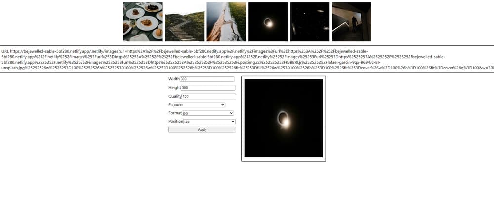 Netlify Dynamic Site Submission: Vibrant Photo Gallery Featuring Netlify Image CDN